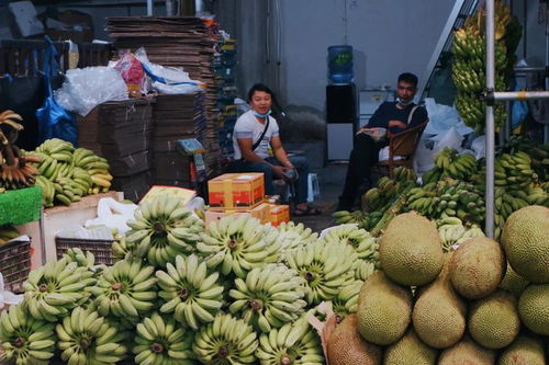 走进云南大型水果市场,太多奇怪水果,大部分都没见多